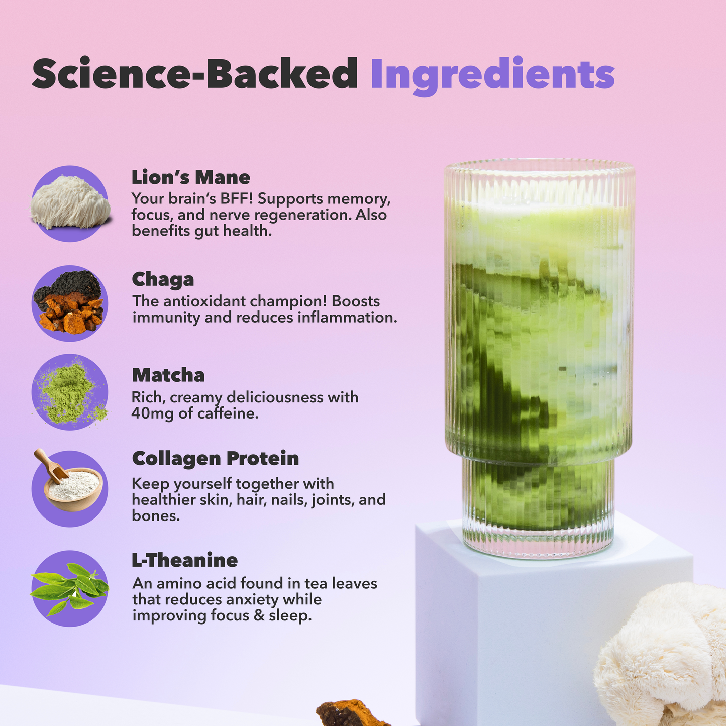 30-servings-mushroom-matcha-c3 custom_resized_386f63f8-0691-449c-9e51-462fed6c0033.png